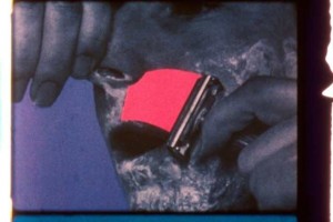 Zileti, Paul Sharits