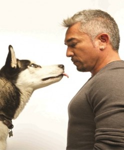 Cesar Millan