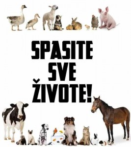 Spašavanje životinja