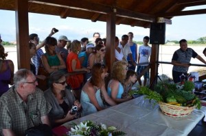 Festival soli