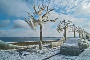 Čudnovate zgode iz prirode