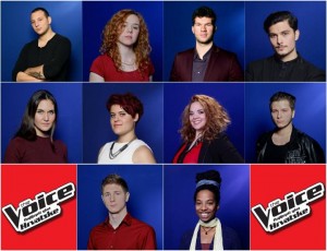 Voice