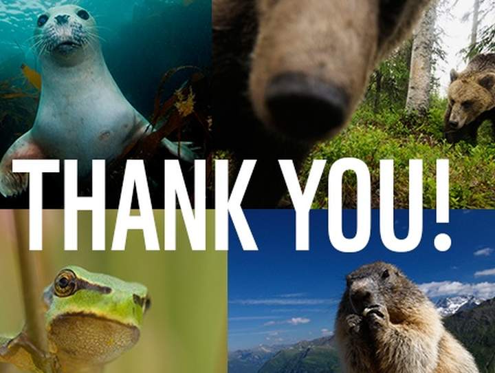 Građani Europske unije: Krik za prirodu!