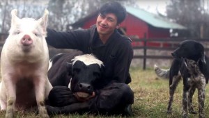 dan zaštite životinja