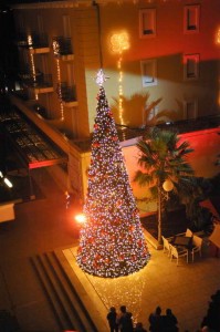 Christmas Tree Lighting