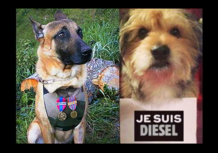 Psi i njihovi vlasnici odaju počast za hrabru Diesel