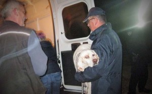 policijom protiv pasa