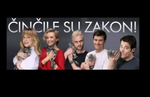 Činčile su zako