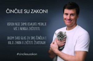 Ivica Kostelić, činčila