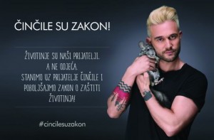 Luka Nižetić, činčila