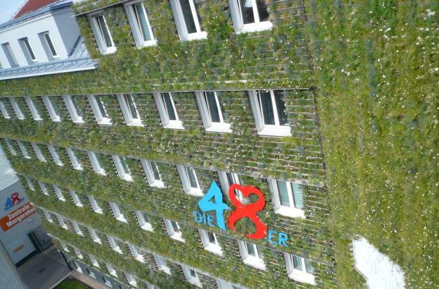 Plan za smanjenje vrućina u gradu – Ozelenjavanje fasada Plan za smanjenje vrućina u gradu – Ozelenjavanje fasada