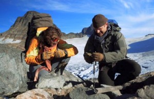 Prokletstvo smrznutog zlata