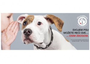 Svojem psu možete reći sve