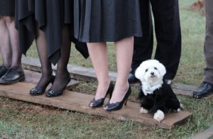 U ime Jagode, Čokolade i Duha Svetoga