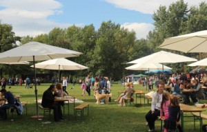 Crvena jabuka na Vege