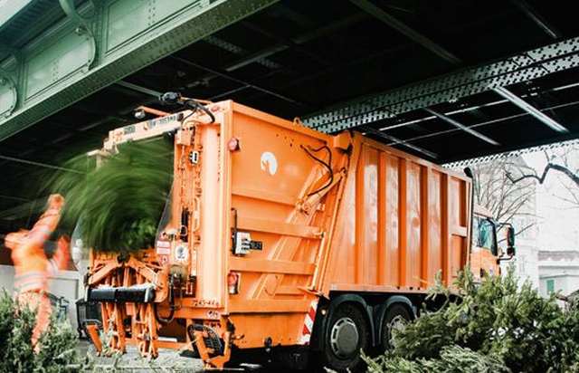 Božićna drvca iskorištavaju za proizvodnju električne energije Božićna drvca iskorištavaju za proizvodnju električne energije