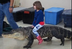djevojčica jaše aligatora