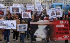 Prijatelji životinja