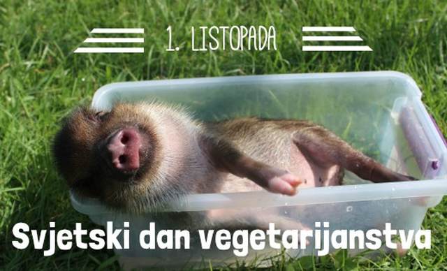 Svjetski dan vegetarijanstva – mjesec vegetarijanstva