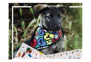 Udomljavanje je fora