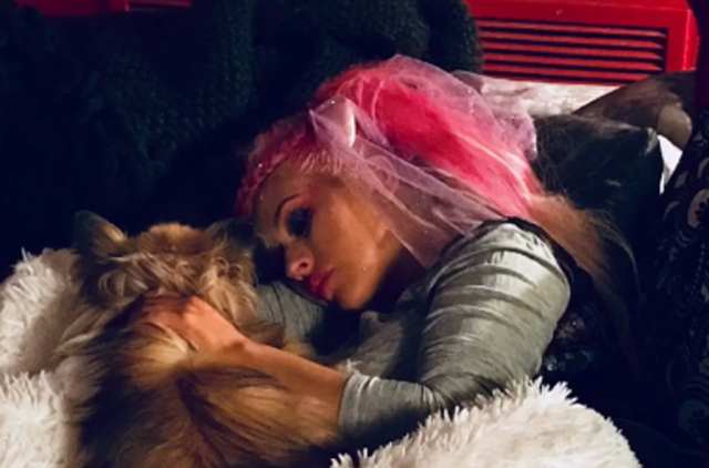 Christina Aguilera donijela tešku odluku i uspavala Stinky