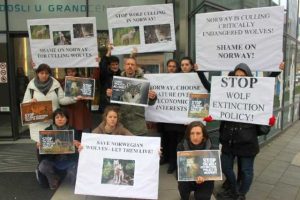 Prijatelji životinja