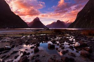 Divlji Novi Zeland