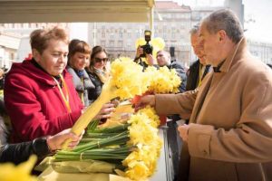 Dan narcisa, Milan Bandic