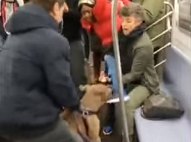 Šokantni video: Pit bull napao ženu i nije je puštao