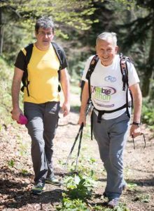 Vedran Mlikota, Damir Eljuga