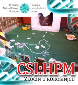 Zločin u kokošinjcu