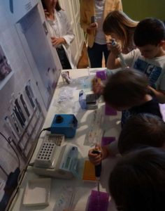 Zločin u kokošinjcu