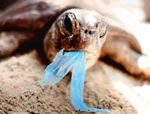 plastične vrećice