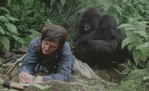 Dian Fossey