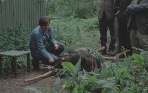 Dian Fossey