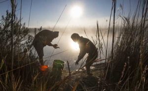 Putovanje u Okavango