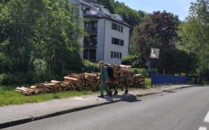 mučenje konja u Zagrebu