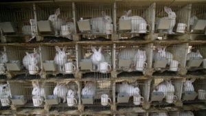 Druga strana luksuza