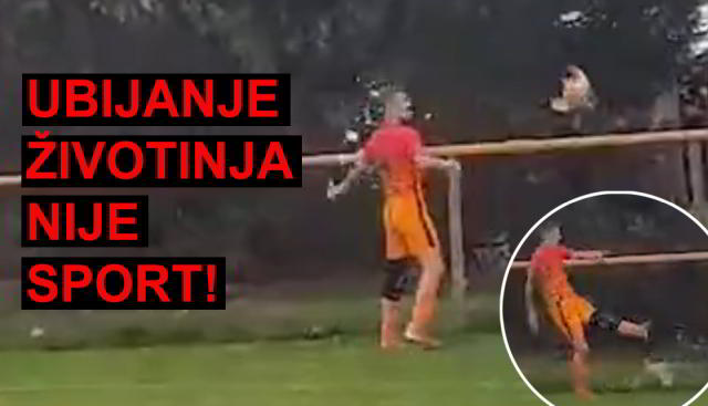 Video: Kaznena prijava protiv nogometaša Jelengrada, šutnuo kokoš