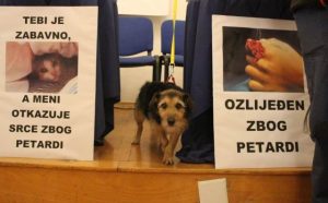 inicijativu za zabranu petardi