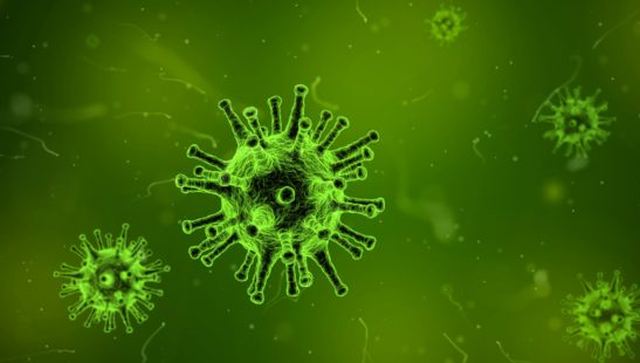 Studio 4 Covid – 19: Specijalizirano o epidemiji koronavirusa