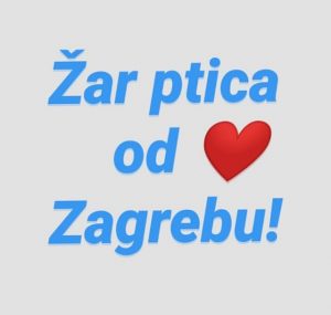 Zar ptica