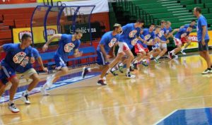 KK Cibona
