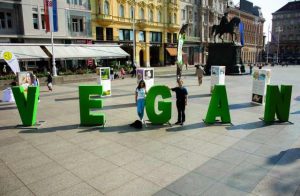VegeEDU