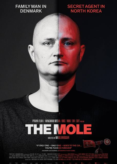 Mole