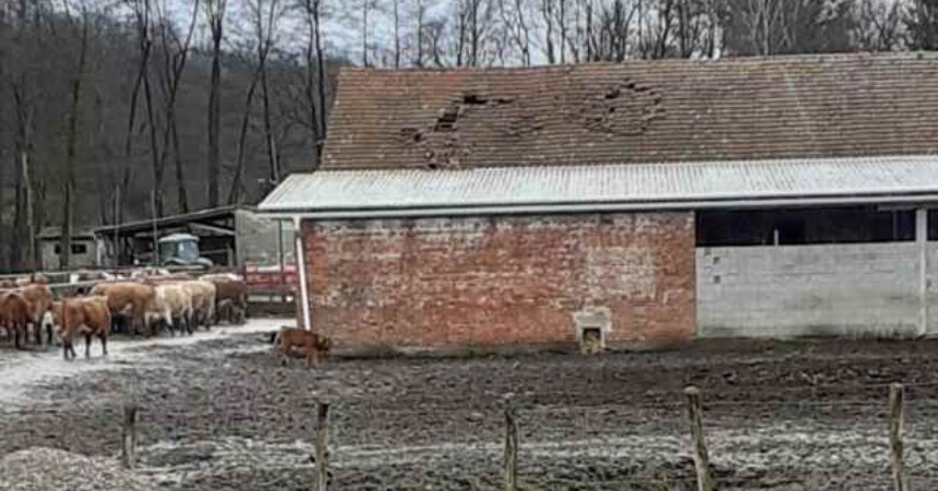 Isplaćeno 93 milijuna kuna potresom pogođenim područjima