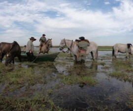 Rijeka poput mora: Od izvora kroz Brazil Rijeka poput mora: Od izvora kroz Brazil