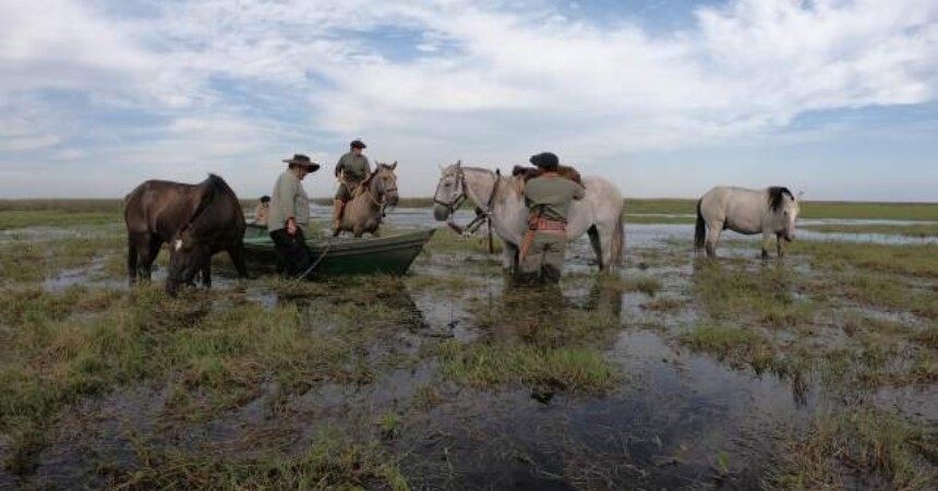 Rijeka poput mora: Od izvora kroz Brazil