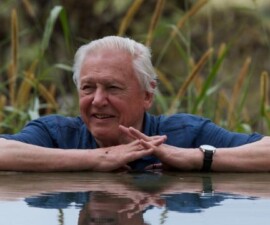 Sir David Attenborough – Globalna pustolovina