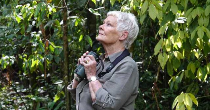 Judi Dench u pustolovini na Borneu